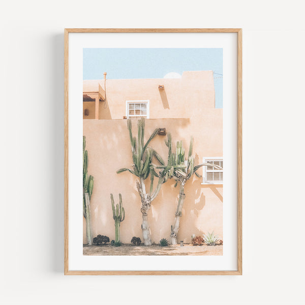 The French Print - Photographie Mexican Cactus