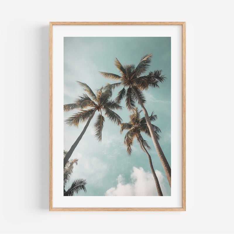 The French Print - Photographie Los Angeles Palm Tree