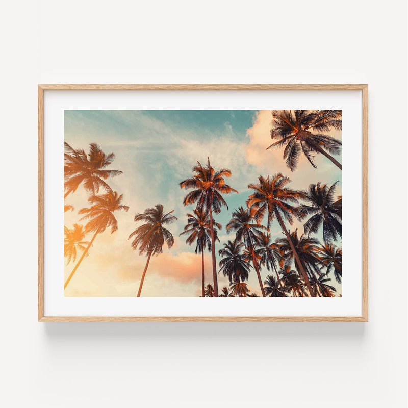 Photographie Sunset Palm Tree