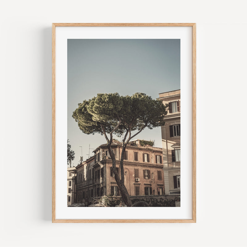 The French Print - Photographie Via in Roma