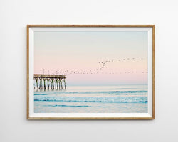 Photo Envolée d'oiseau coucher de soleil côte californienne