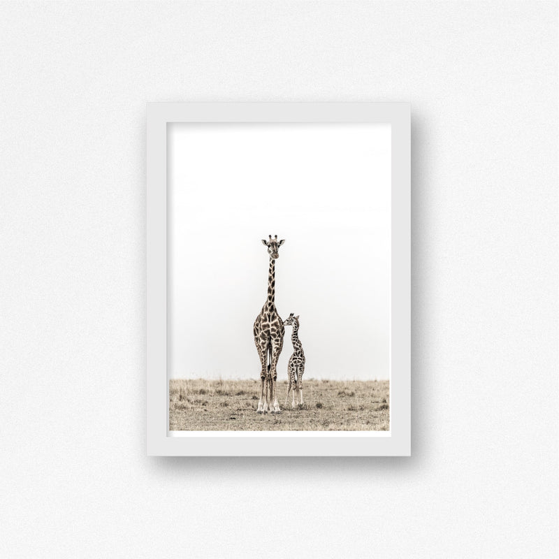 Photographie Girafe Mère et son Enfant