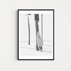 Photographie Noir & Blanc Palmiers et Planche de Surf