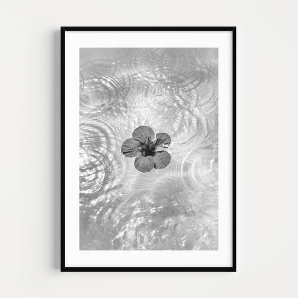 Photographie Noir & Blanc Flower in the Water