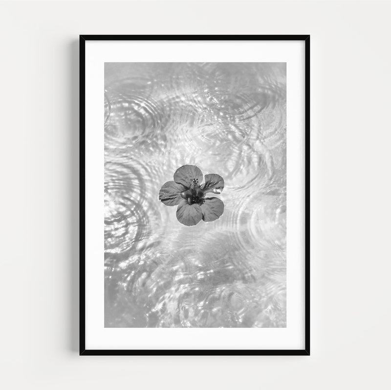 Photographie Noir & Blanc Flower in the Water