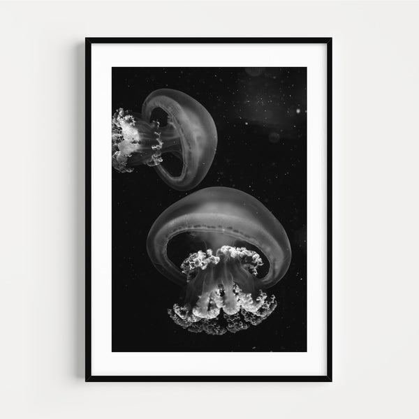 The French Print - Photographie Noir & Blanc Jellyfish
