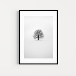 Photographie n&b l'arbre solitaire