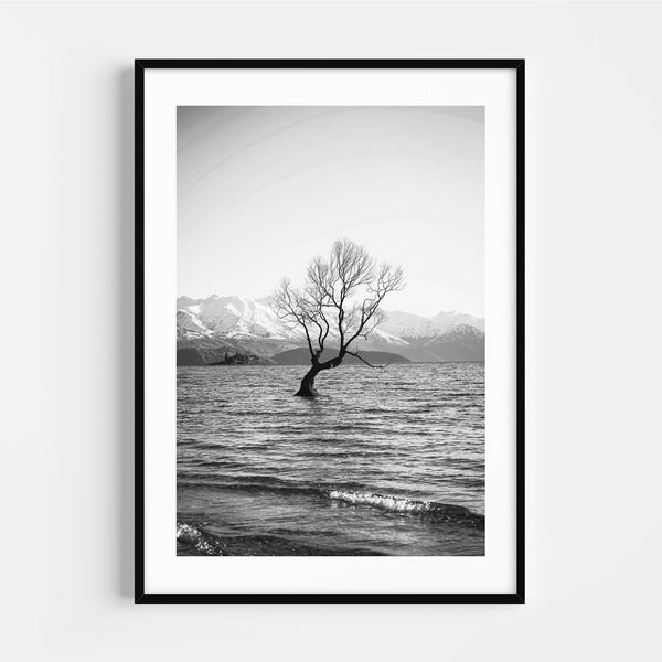 The French Print - Photographie Noir & Blanc Tree in the Water