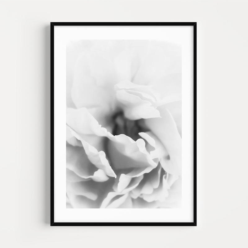 Photographie Noir & Blanc Flower Macro