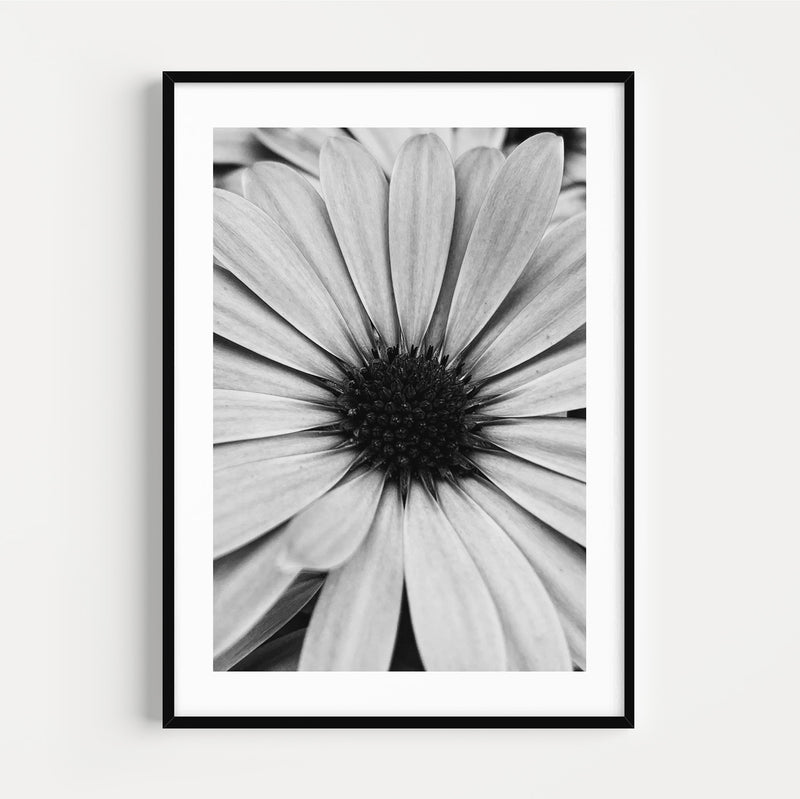 The French Print - Photographie Noir & Blanc Sunflower