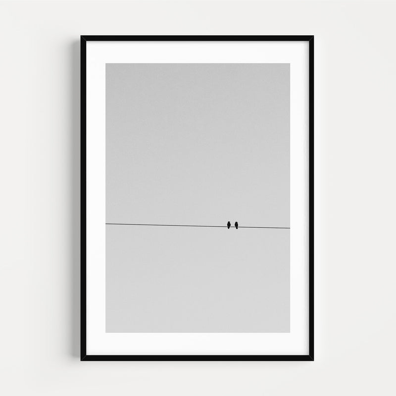 The French Print - Photographie Noir & Blanc Two Birds on a Wire