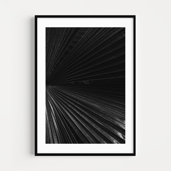 The French Print - Photographie Noir & Blanc Palm Leaves