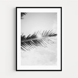 The French Print - Photographie Noir & Blanc Palm Tree Under the Sun