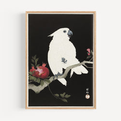 The French Print - Affiche Cockatoo with pomegranate - Ohara Koson