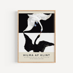 Affiche Hilma af Klint - Le Cygne, N°1