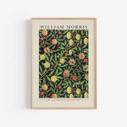 Affiche William Morris - Motif de Fruits, 1862