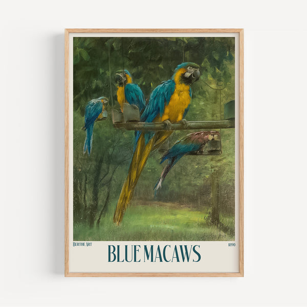 The French Print - Affiche Blue Macaws - Berthe Arte, 1890