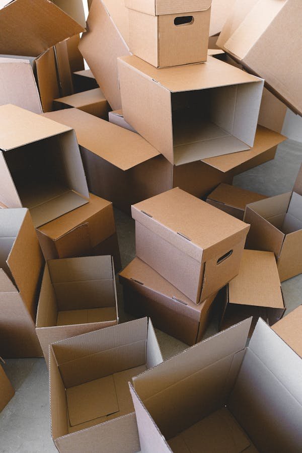 Cardboard partitions: the ultimate protection for fragile products